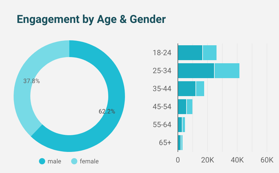 google-analytics-audience-demographics