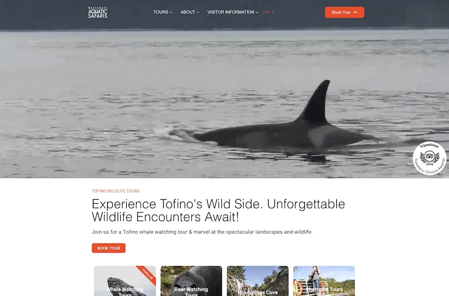 Whale Watching Website
